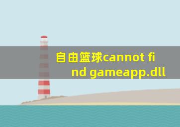 自由篮球cannot find gameapp.dll